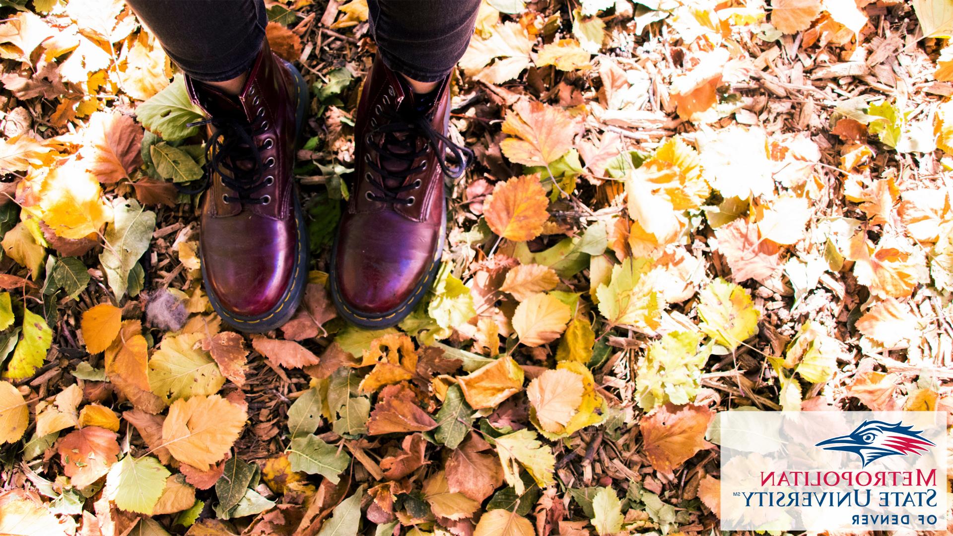 密歇根州立大学丹佛 logo in front of fall leaves and purple boots