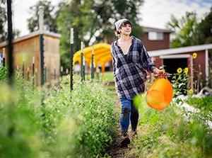 密歇根州立大学丹佛 Public Health major Angelica Marley works at Sprout City Farms harvesting vegetables. 艾莉森·麦克拉伦摄